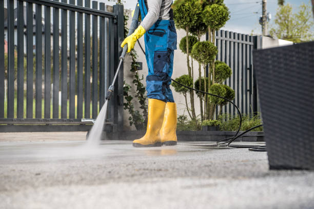 Best Driveway Pressure Washing  in Thermopolis, WY